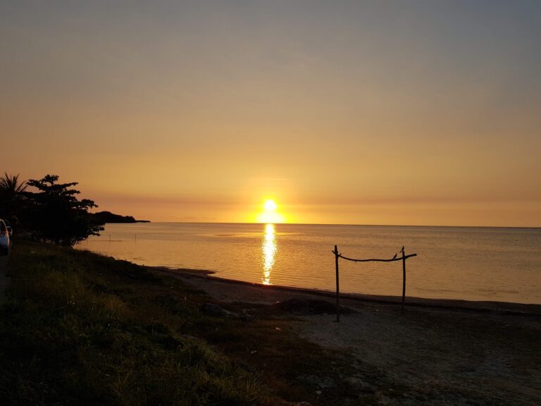A sunset over the calm waters of Roatan, Honduras, with a silhouette of trees and a simple wooden fence along the shoreline.