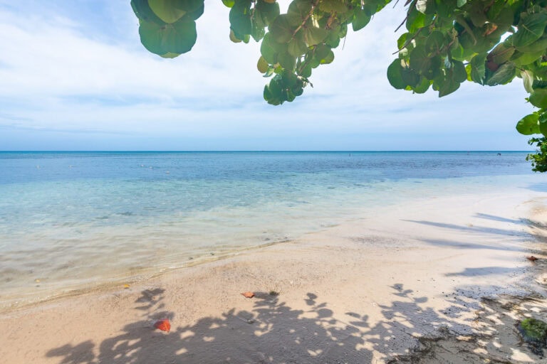 Shoreline with clear blue waters and white sandy beach framed by green tropical trees on Roatan, Honduras with a distant horizon under a partly cloudy sky.