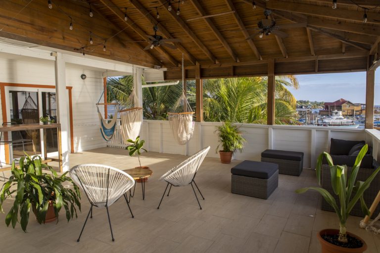 A cozy rooftop terrace in Roatan, Honduras, features hanging hammock chairs, potted tropical plants, woven lounge furniture with cushions, and a view of palm trees and the marina with boats in the distance.