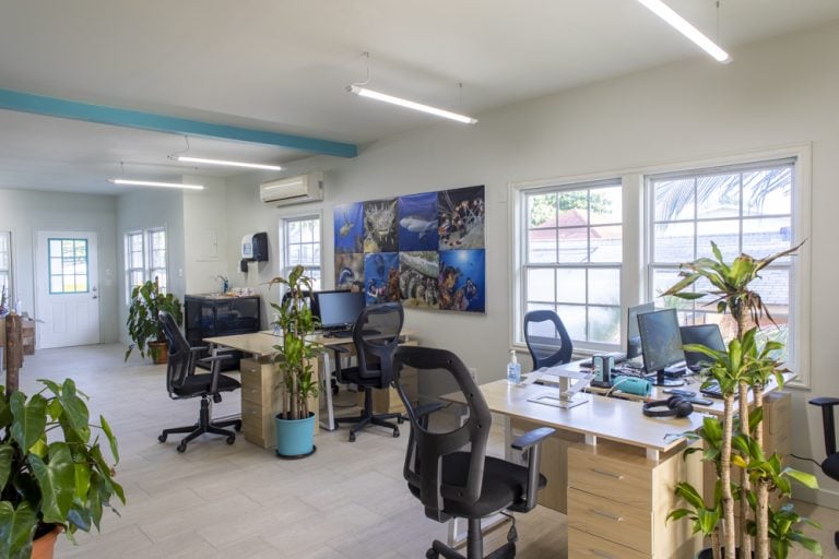 An office space in Roatan, Honduras, features multiple desks with computers, black ergonomic chairs, potted plants, a colorful marine life-themed poster on the wall, large windows allowing natural light, and an air conditioning unit, all within a bright, modern setting.