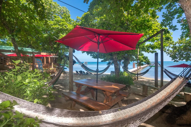 A cozy beach setup at Roatan, Honduras with a wooden picnic table, red umbrellas, hammocks tied between trees, and lounge chairs by the calm Caribbean waters under green leafy trees.