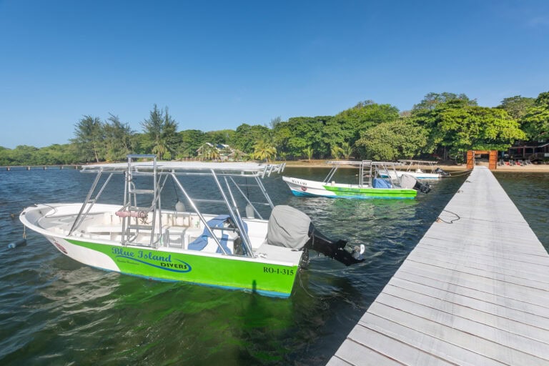 Three boats docked at a wooden pier on the waters of Roatan, Honduras, with lush green vegetation and trees along the shoreline in the background under a clear blue sky.