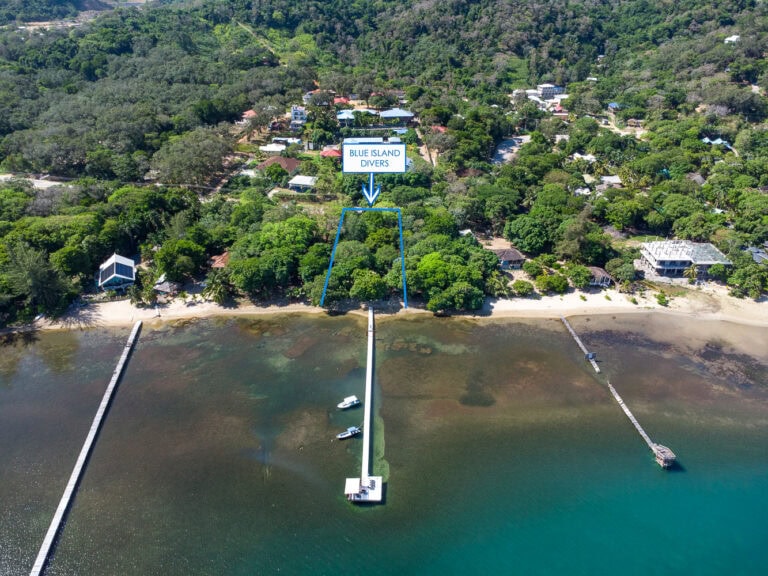 Aerial view of a beachside property on Roatan, Honduras, showing lush green trees, a sandy shoreline, and a boat dock extending into the water, with a label pointing to 'Blue Island Divers.'