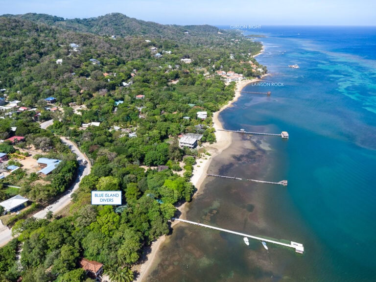 Aerial view of Roatan's coastline featuring lush green hills, residential houses, and clear blue waters with docks extending into the ocean near Blue Island Divers, Lawson Rock, and Gibson Bight in Honduras.