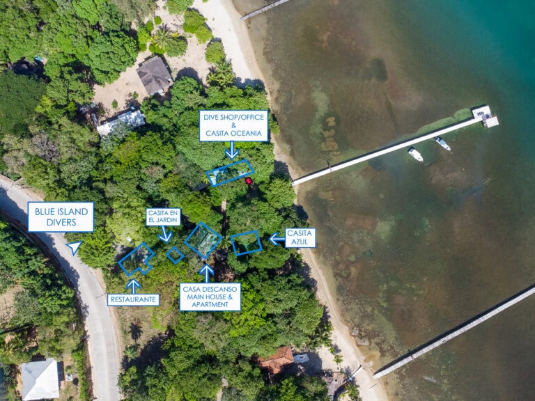 Aerial view of a tropical waterfront property on Roatan in Honduras featuring a main house, an apartment, a garden, a restaurant, and designated areas for diving activities including a dive shop and blue island divers, with a long pier extending into the clear Caribbean waters and boats docked at the end.