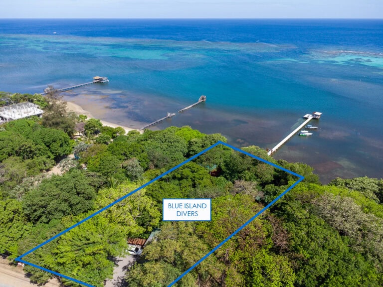 An aerial view of Roatan, Honduras, showcasing a lush green area with dense trees and a beachfront dock extending into the clear blue Caribbean Sea, with a text label indicating 'Blue Island Divers' on the property.