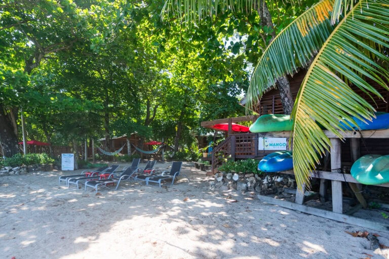 Beach area in Roatan, Honduras with lounge chairs, shaded by lush green trees and palm fronds, next to a wooden building with kayaks and a sign reading Mango Bar & Grill.