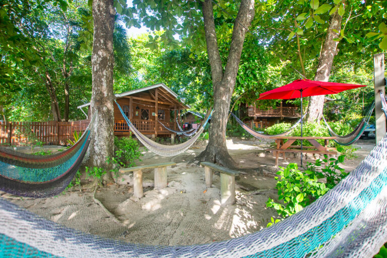Hammocks tied between large trees provide a relaxing spot in a lush tropical garden on Roatan Island, Honduras, with a wooden cabin and picnic table nearby amidst greenery.