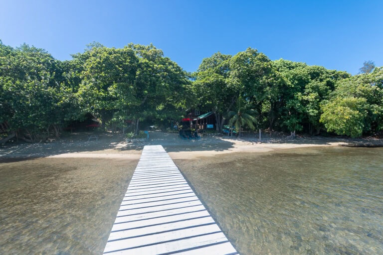 A white wooden pier extends from the clear shallow waters onto a sandy beach bordered by lush green trees and tropical vegetation in Roatan, Honduras.