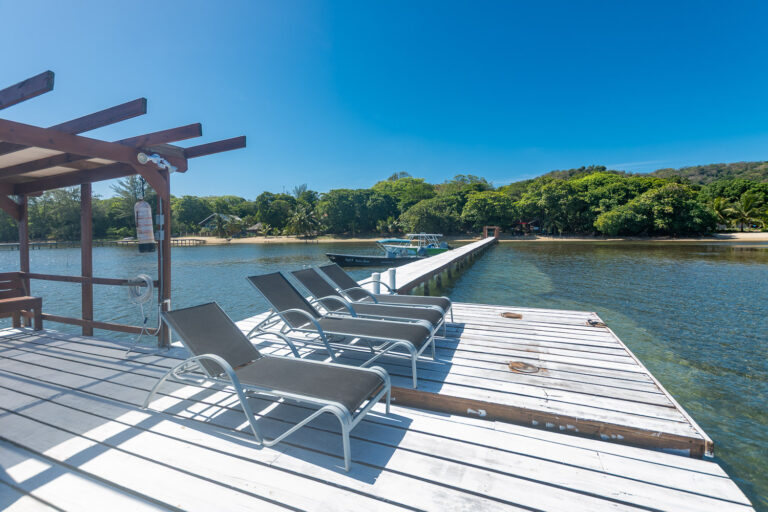 A dock with lounge chairs extends over the clear waters of Roatan, Honduras, surrounded by lush tropical trees and a bright blue sky.