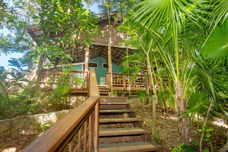 Wooden staircase leads up to a turquoise house nestled among lush green tropical plants and trees in Roatan, Honduras, capturing the island's natural beauty and vibrant foliage.