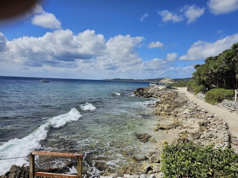 A rocky shoreline with a sandy path, lush green palm trees, and a thatched-roof hut along the coast of Roatan, Honduras, under a bright blue sky with scattered clouds and a small boat floating offshore.