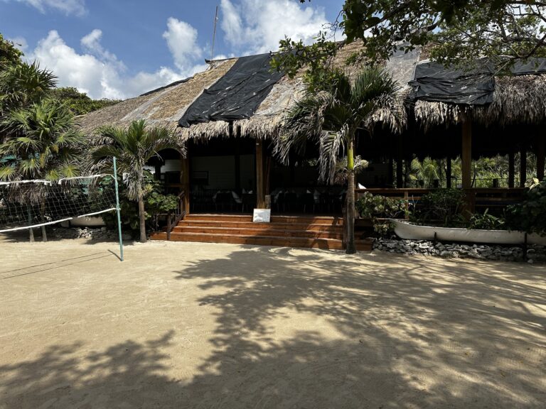 A thatched-roof open-air beachside bar or restaurant on Roatan, Honduras, featuring wooden steps leading up to a shaded seating area surrounded by tropical plants and situated near a sandy beach with a volleyball net in the foreground.