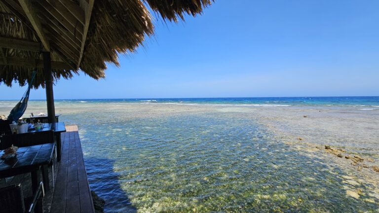 A beachfront dining area with a thatched roof hut overlooking the clear, shallow waters of Roatan, Honduras, with the ocean and blue sky in the background.
