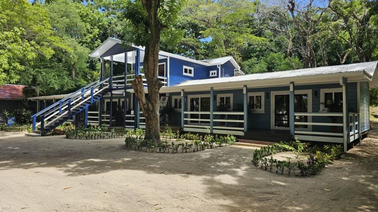 Colorful blue wooden buildings with white trim and a staircase are situated among lush green trees on Roatan, Honduras, creating a vibrant and tropical atmosphere.