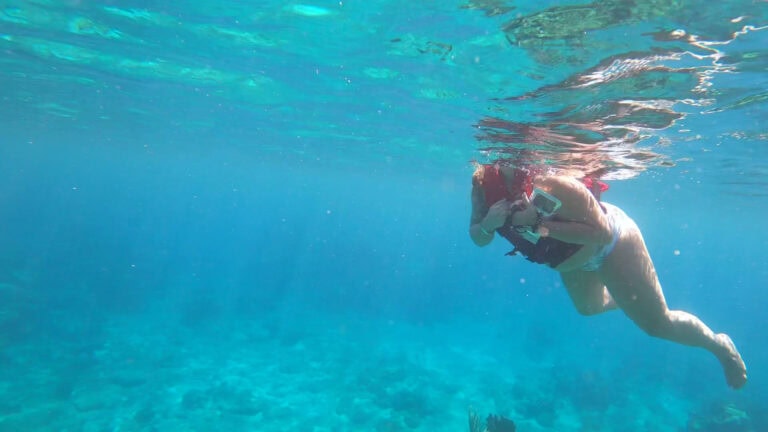 A person snorkeling underwater off the coast of Roatan, Honduras, wearing a snorkel mask and fins.