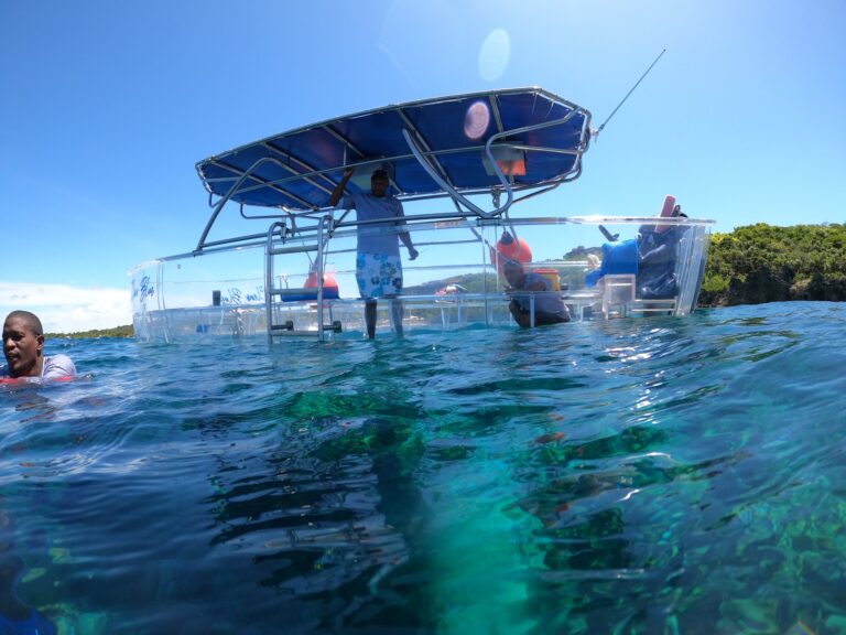 A boat with a blue canopy and clear sides floats on the water near Roatan in Honduras, with two men aboard and a lush green island landscape in the background under a bright blue sky.