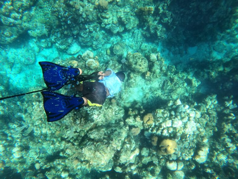 A person snorkeling over a vibrant coral reef in Roatan, Honduras, with colorful fish swimming among the coral formations.