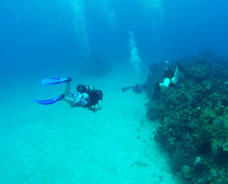 Scuba divers explore vibrant coral reefs off the coast of Roatan, Bay Islands, Honduras, underwater in clear blue water.