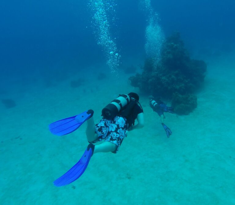 Scuba divers explore the underwater reef off Roatan in Honduras, with clear blue water and vibrant marine life visible beneath the surface.