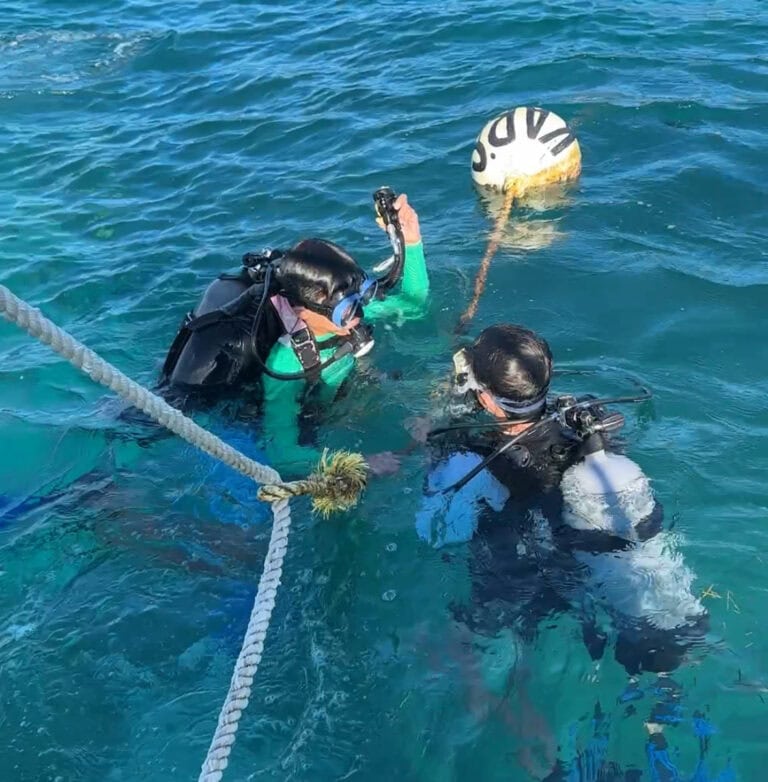 Two scuba divers in wetsuits and masks are inspecting a sunken buoy with a rope attached in the turquoise waters of Roatan, Honduras.