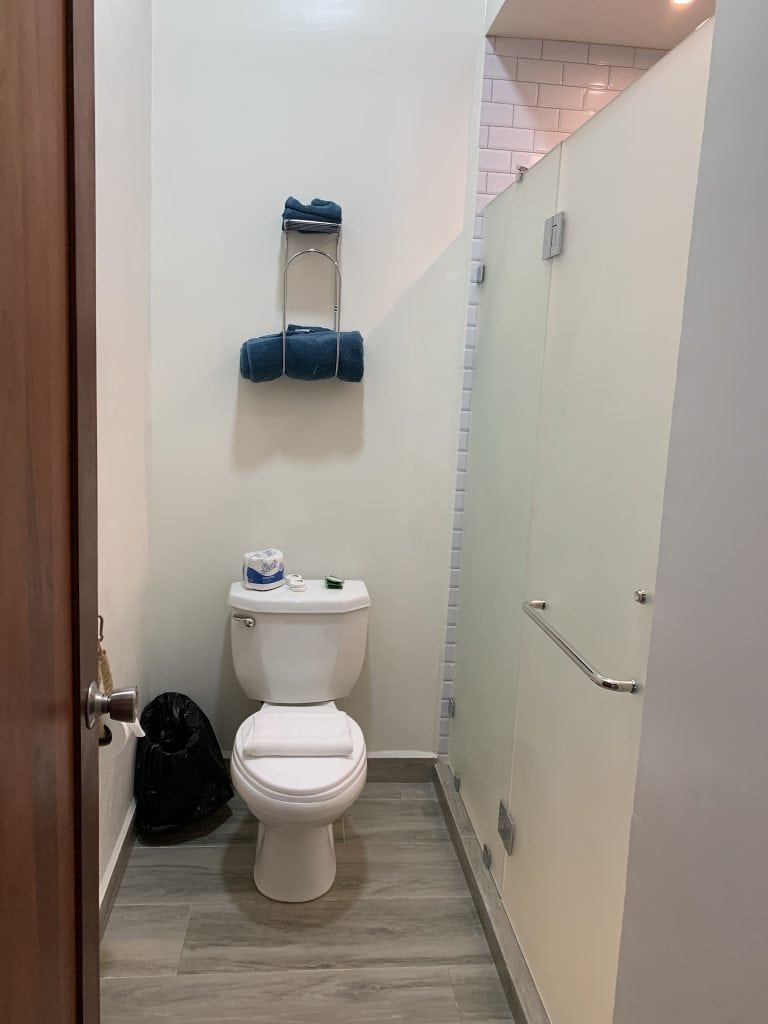 A small public restroom in Roatan, Honduras, features a white toilet with a black trash bag beside it, a white toilet paper roll, a container of soap on top of the toilet tank, a light-colored wall, a black trash bin on the floor, and a closed cream-colored stall door with a silver handle and a handrail.