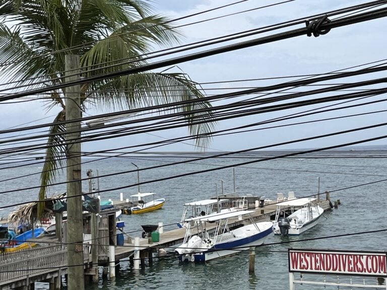 A marina in Roatan, Honduras, featuring several boats docked at a wooden pier with palm trees and power lines visible against a cloudy sky over the ocean.