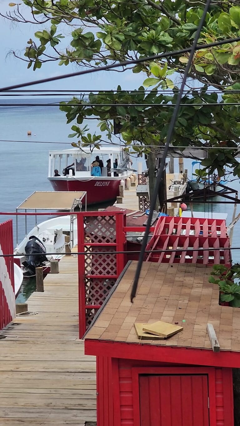 A red wooden dock with boats moored along the shoreline of Roatan, Honduras, is partially obscured by green tree foliage and overhead wires, with a view of calm ocean water and a partly cloudy sky in the background.