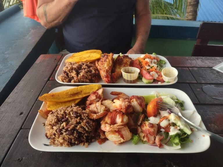 A person wearing a black shirt sits outdoors in Roatan, Honduras, with a plate of food including rice, fried plantains, grilled meat, salad, and dipping sauces on a wooden table surrounded by tropical greenery.