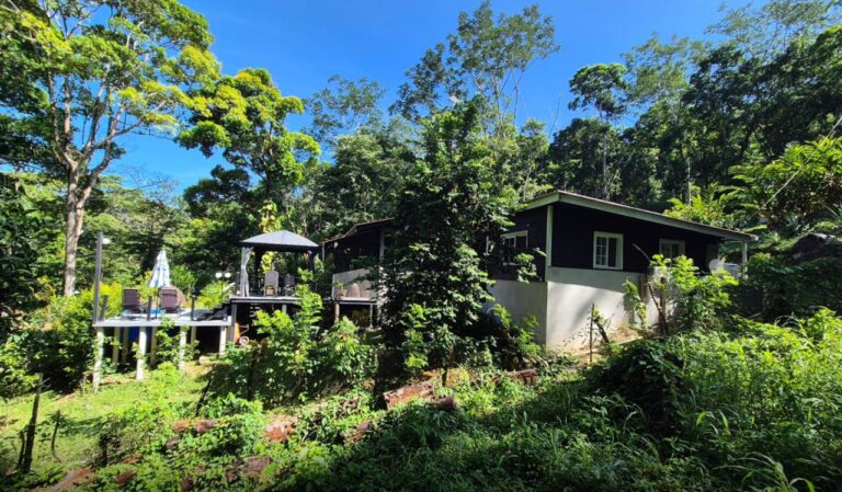 A scenic view of a black and white wooden house situated in a lush, green jungle on Roatan, Bay Islands, Honduras, with tall trees and a bright blue sky in the background.