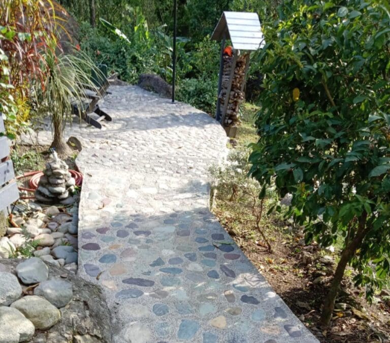 A stone pathway surrounded by lush green plants and trees on Roatan, Honduras, leading to a small wooden structure with a sloped roof and a stack of firewood nearby.