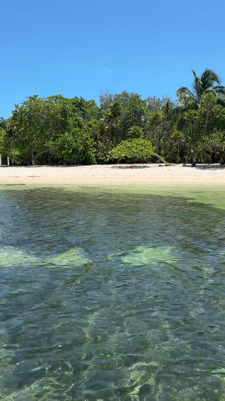 A clear view of a sandy beach with lush green tropical trees and palm trees behind it, along the shoreline of Roatan, Honduras, with calm, transparent water in the foreground and a bright blue sky overhead.