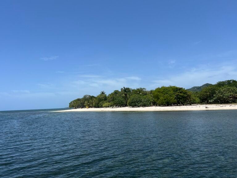 A view of the calm Caribbean Sea with gentle waves, a sandy beach lined with lush green trees, and a clear blue sky over Roatan, Honduras.