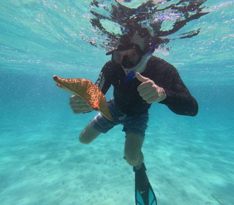 A person snorkeling underwater in Roatan, Honduras, holding a starfish and giving a thumbs-up, with clear turquoise water and a snorkel mask.