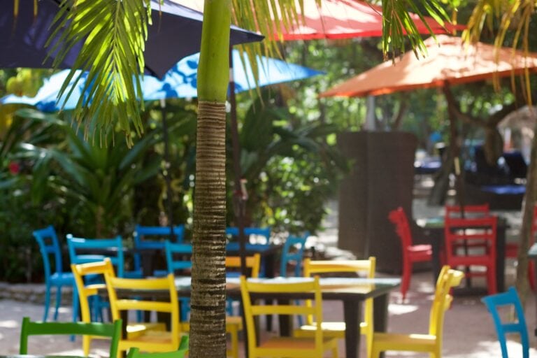 Colorful outdoor seating with yellow, blue, red, and green chairs under shaded umbrellas and palm trees in Roatan, Honduras.