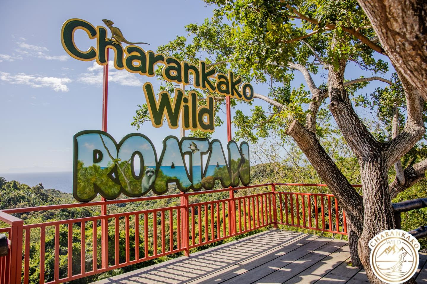 Colorful Charrankako Wild Roatan sign with large green letters and a tree providing shade on a viewing platform overlooking lush tropical forest and the ocean in Roatan, Honduras.