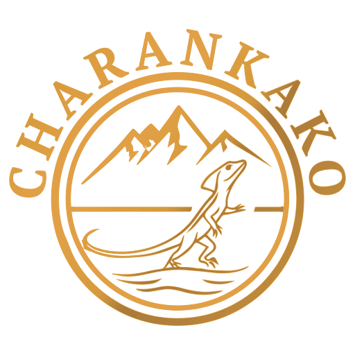 A circular logo featuring a lizard, mountains, and water with the text 'Charkanako' on Roatan, Honduras.