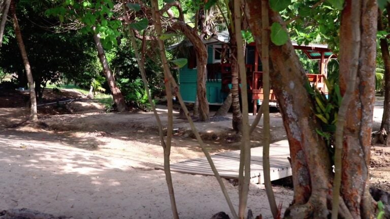 A lush tropical setting in Roatan, Honduras, featuring a colorful wooden house with a teal exterior and red accents, partially obscured by trees and vegetation on a sandy pathway.