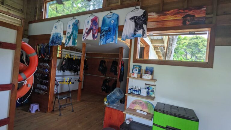 A retail shop in Roatan, Honduras, displays snorkeling and diving gear, T-shirts with marine designs hanging from the ceiling, and windows revealing lush greenery outside.