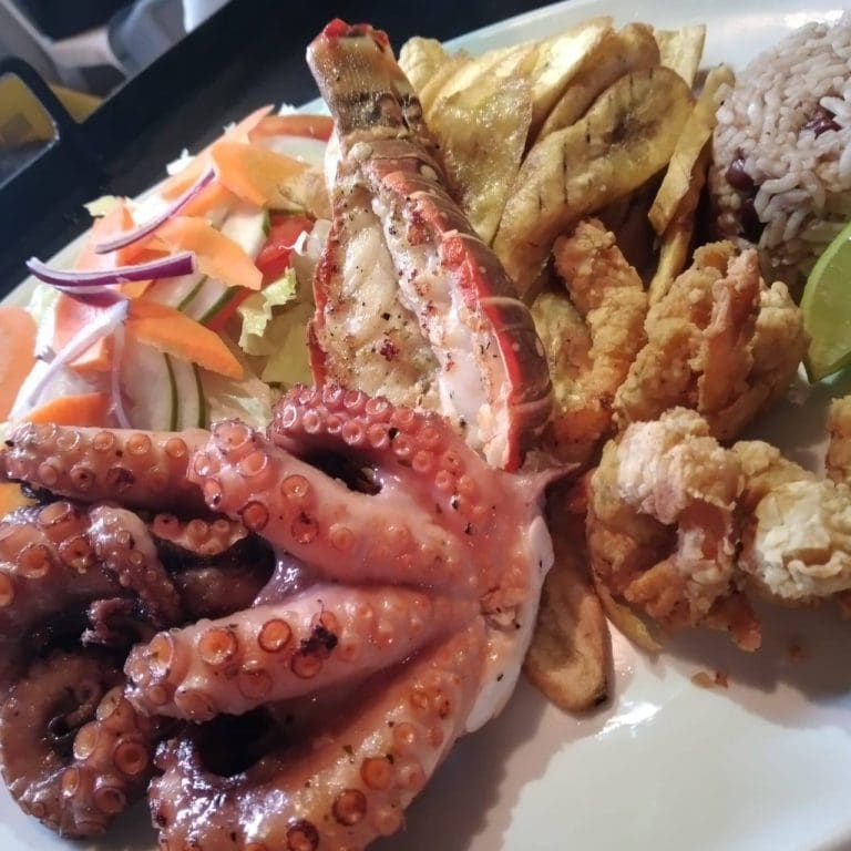 A plate of grilled octopus, fried plantains, rice and beans, and a fresh salad with tomatoes, onions, and cucumbers served at a restaurant in Roatan, Honduras.