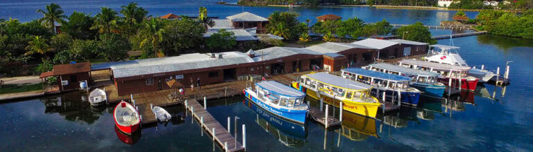 Colorful fishing and tour boats line a waterfront marina beside tropical greenery and calm blue water in Roatan, Honduras.