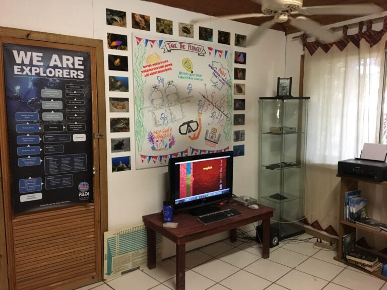 A home office setup with a computer on a wooden desk, surrounded by educational and dive-related posters, framed photos, and a glass display case on the right, in a room located in Roatan, Honduras.