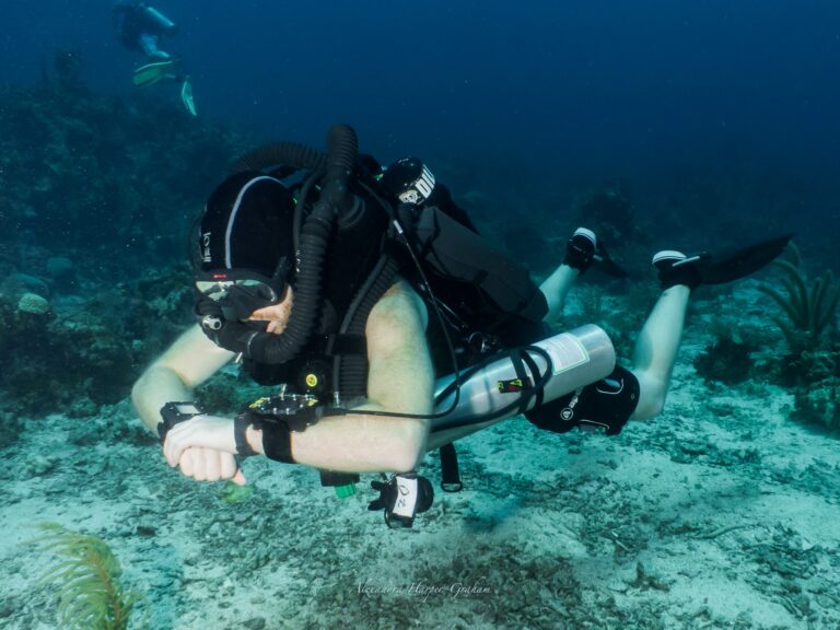 A scuba diver is underwater near the ocean floor in Roatan, Honduras, wearing a wetsuit, mask, and tank, with coral and rocks visible below.