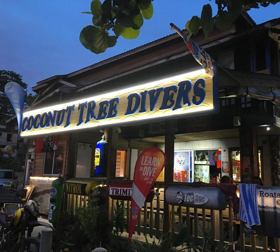 The image shows the storefront of Coconut Tree Divers in Roatan, Honduras, illuminated at dusk with signage advertising diving lessons and services, surrounded by flags and promotional banners.