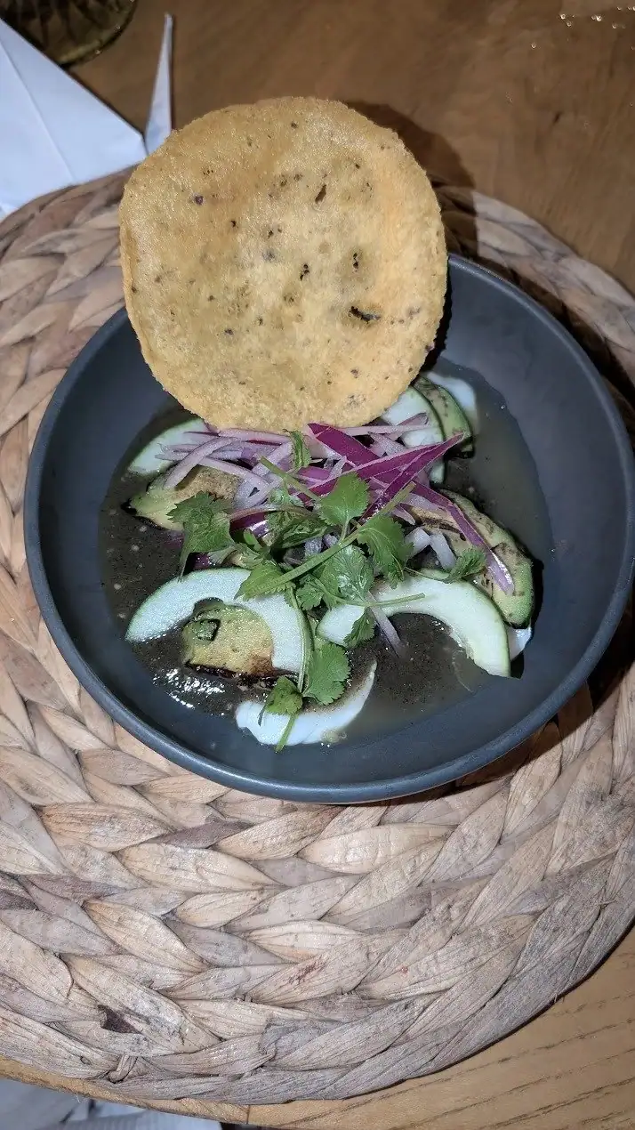 A traditional Honduran dish featuring sliced cucumbers, red onions, and fresh cilantro in a dark sauce, garnished with a large round tostada positioned vertically on a black plate.