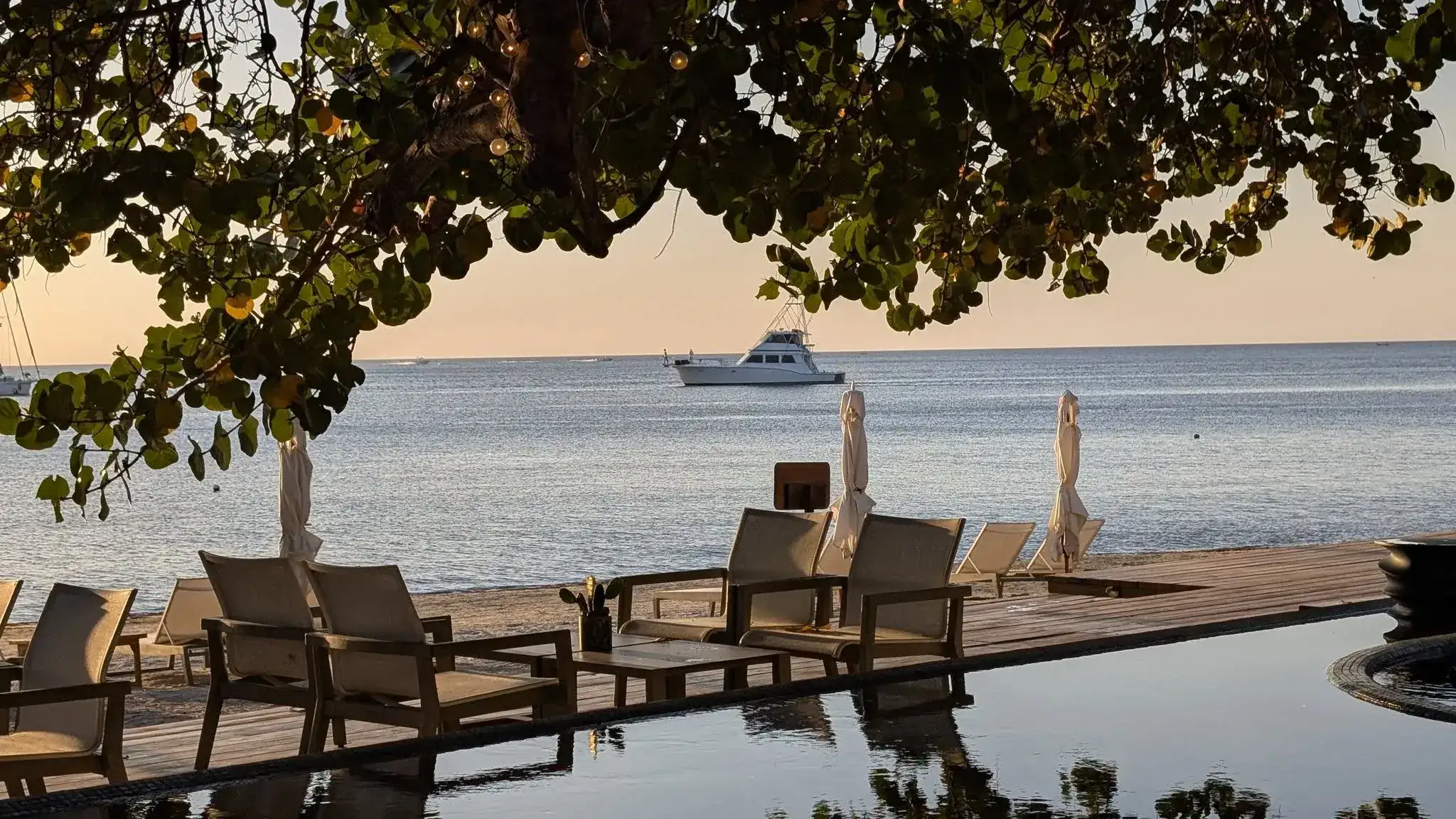 A tranquil beachfront scene on Roatan, Honduras, with lounge chairs lined up on the sandy shore beneath a large leafy tree, overlooking calm ocean waters with boats anchored offshore during sunset.