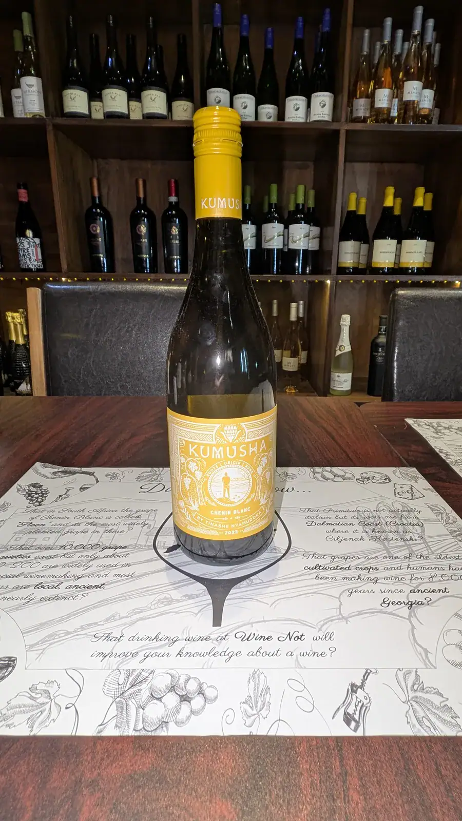 Kumusha Chenin Blanc 2023 from South Africa at Wine Not