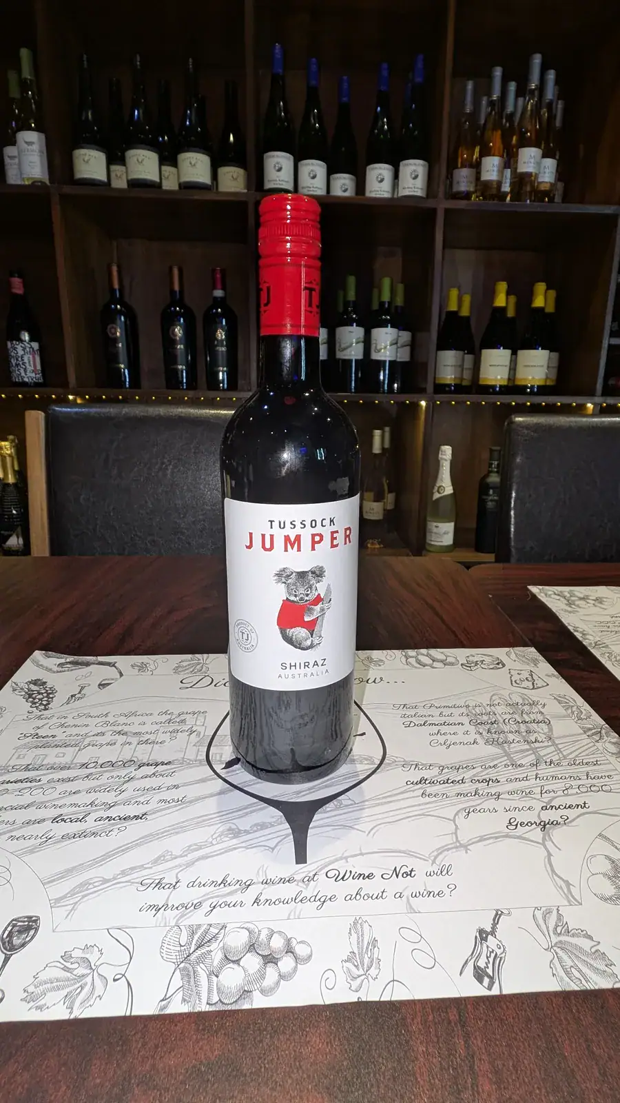 Tussock Jumper Shiraz 2019 from Australia with koala label at Wine Not