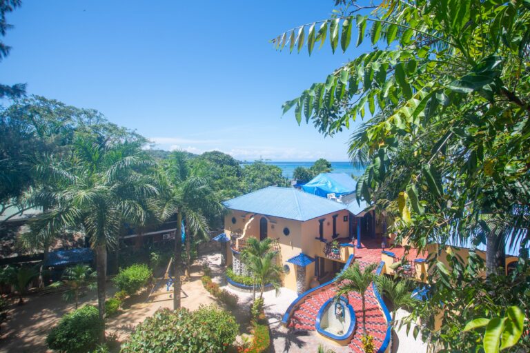 Lush tropical greenery with palm and broad-leafed trees overlooking a colorful building with a blue roof in Roatan, Honduras, near the Caribbean Sea.