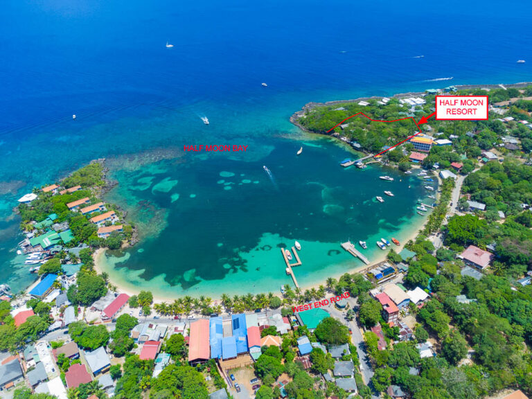 Aerial view of Half Moon Bay in Roatan, Honduras, showing boats anchored in the turquoise waters near the Half Moon Resort, with lush tropical greenery and residential buildings along the shoreline.